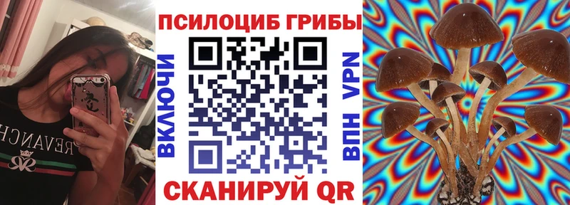 Псилоцибиновые грибы GOLDEN TEACHER  Мегион 